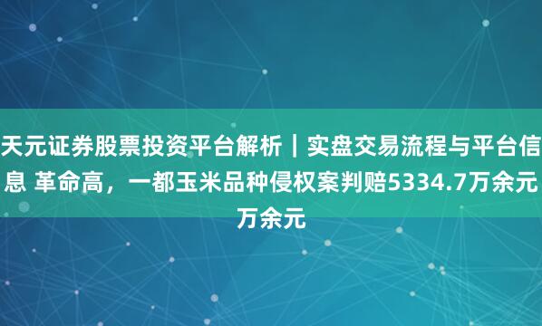 天元证券股票投资平台解析｜实盘交易流程与平台信息 革命高，一都玉米品种侵权案判赔5334.7万余元