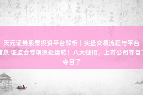 天元证券股票投资平台解析｜实盘交易流程与平台信息 证监会专项惩处运转！八大硬招，上市公司夺目了